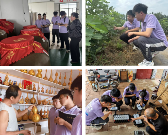 图片5_副本.png 图片5_副本.png