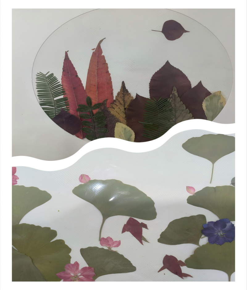 图片33_副本.png