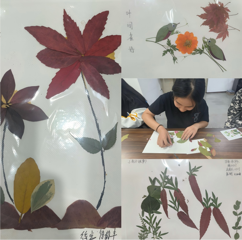 图片32_副本.png