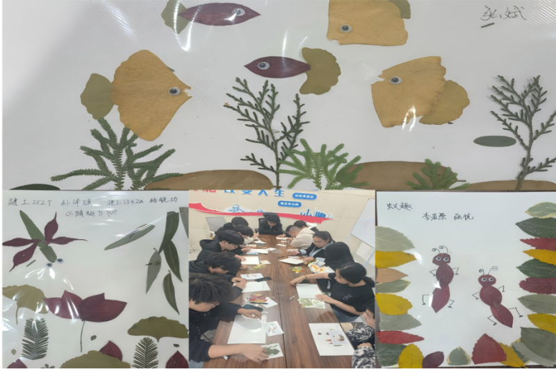 图片31_副本.png