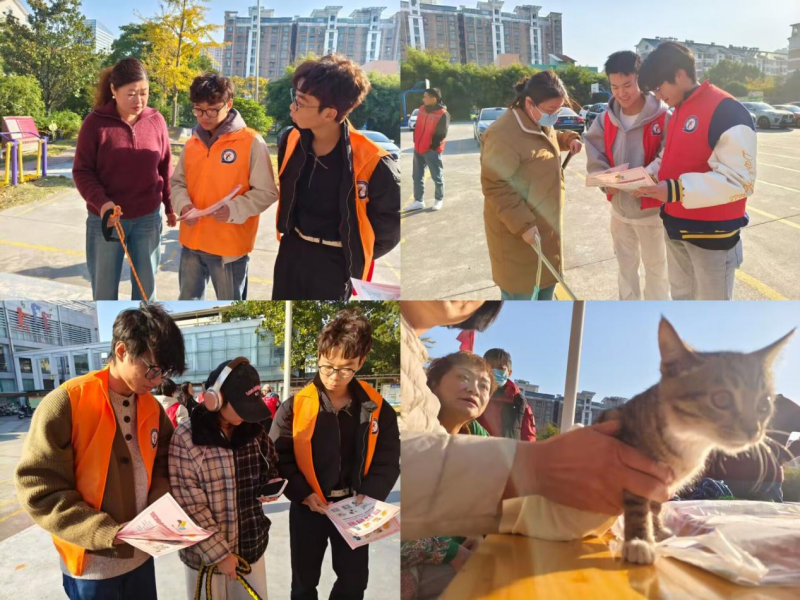 图片7_副本.png